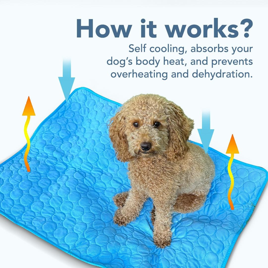 CloudCool V.3 - Cooling mat for pets